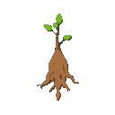 root