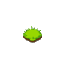 grass