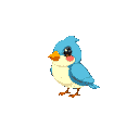 small bird