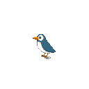 bird far