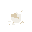 a small white egg completely shattered into broken shell pieces, as if it has just been crushed.