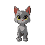 a gray cat