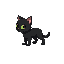 black cat sideways