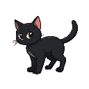 black cat sideways