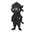 idle black ninja