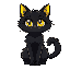 a cute female black cat fluffy with yellow eyes