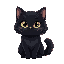 a cute female black cat fluffy with yellow eyes