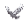 hacker pigeon flying