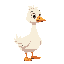 little goose