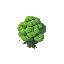 tree alien