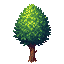 árbol 