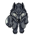 werewolf full body