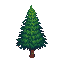 pine tree detailed