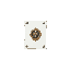 document, white 