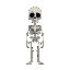 skeleton 