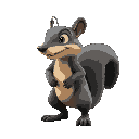 saber-tooth squirrel