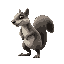 saber-tooth squirrel
