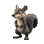 saber-tooth squirrel