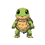 space turtle