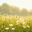 animated scene showing a gentle breeze blowing through a field of wildflowers. the flowers sway softly in the wind, petals fluttering slightly, with tall grass moving rhythmically. warm sunlight, soft