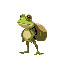 a frog with a bag in the back