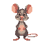 an exploring and curious rat