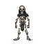 skeleton warrior
