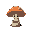 mushroom hollow gentleman's mushroom