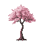 cherry blossom tree with thin trunk