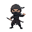 ninja