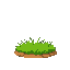 a grass