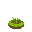 grass