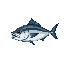 a tuna