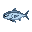 a tuna