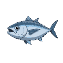 a tuna