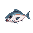 a tuna