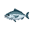 a tuna