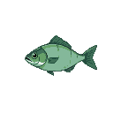 tackle bait