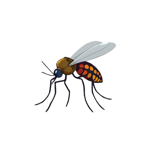 mosquito da dengue 