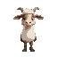 baa