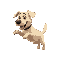 generate a labrador dog jumping