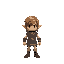 character like enter the gungeon , zelda , archvale 