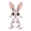 a cute bunny rabbit, realistic and adorable