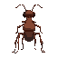 the back of an humanoidant , 6 legs, one round body and a ant head