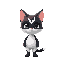 cat like human with black and white color standing in front 