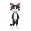 cat like human with black and white color standing in front 