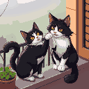 two cats playing on the balcony, one is a black and white siberian and the other is black, both have yellow eyes