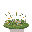 vegetation, grass, flowers