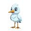ice bird