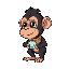 adult chimpance with a collar of a mirror ball